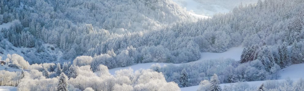 Village d'Aillon-le-Jeune sous la neige